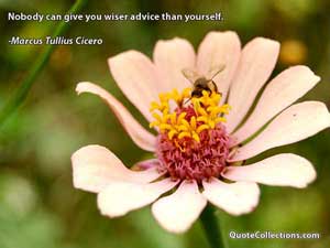 marcus_tullius_cicero_quotes Quotes 4